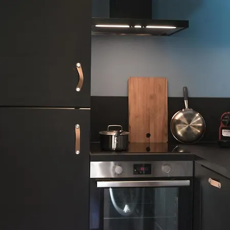 Bright And Functional Apt In Lille