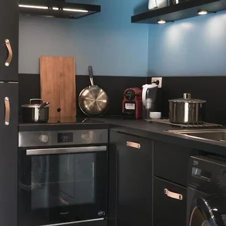 Bright And Functional Apt In Lille * 里尔